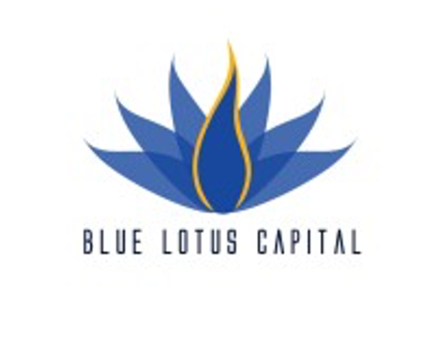 Blue Lotus Capital